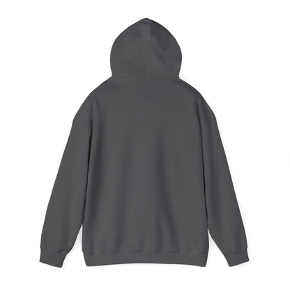 AP HOODIE