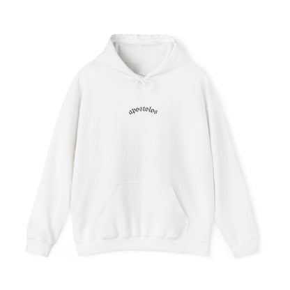 AP HOODIE